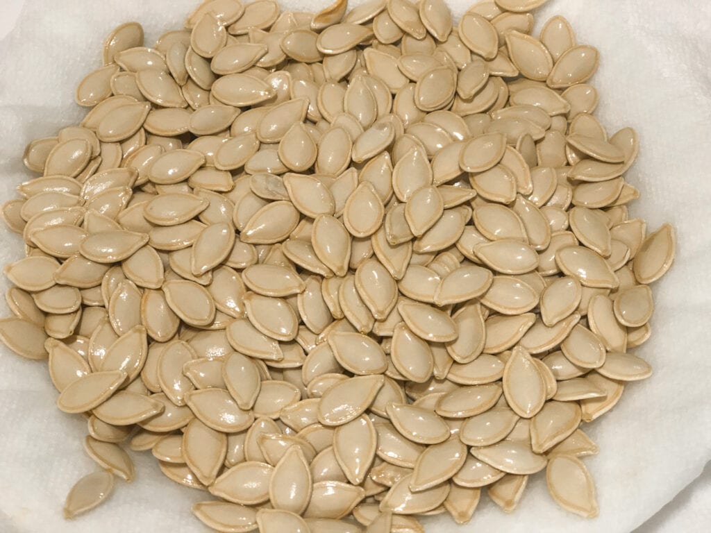 Close up of raw pumpkin seeds